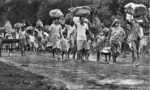 Travelling history: Indian envoy traverses road made famous by Ginsberg's song