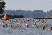 BUDAPEST, June 21, 2025 (UNI/Xinhua) -- Participants swim across the bay at Buda Beach in Budapest, Hungary on June 21, 2025. UNI PHOTO-16F BUDAPEST, June 21, 2025 (UNI/Xinhua) -- Participants swim across the bay at Buda Beach in Budapest, Hungary on June 21, 2025. UNI PHOTO-16F